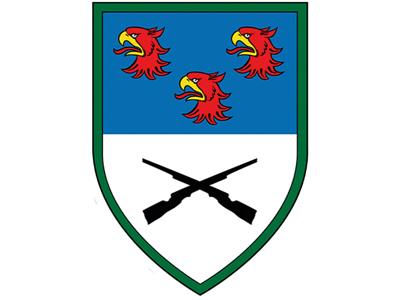 Wappen PzGrenBtl 411